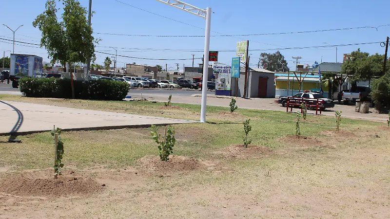 Día Mundial del Medio Ambiente 